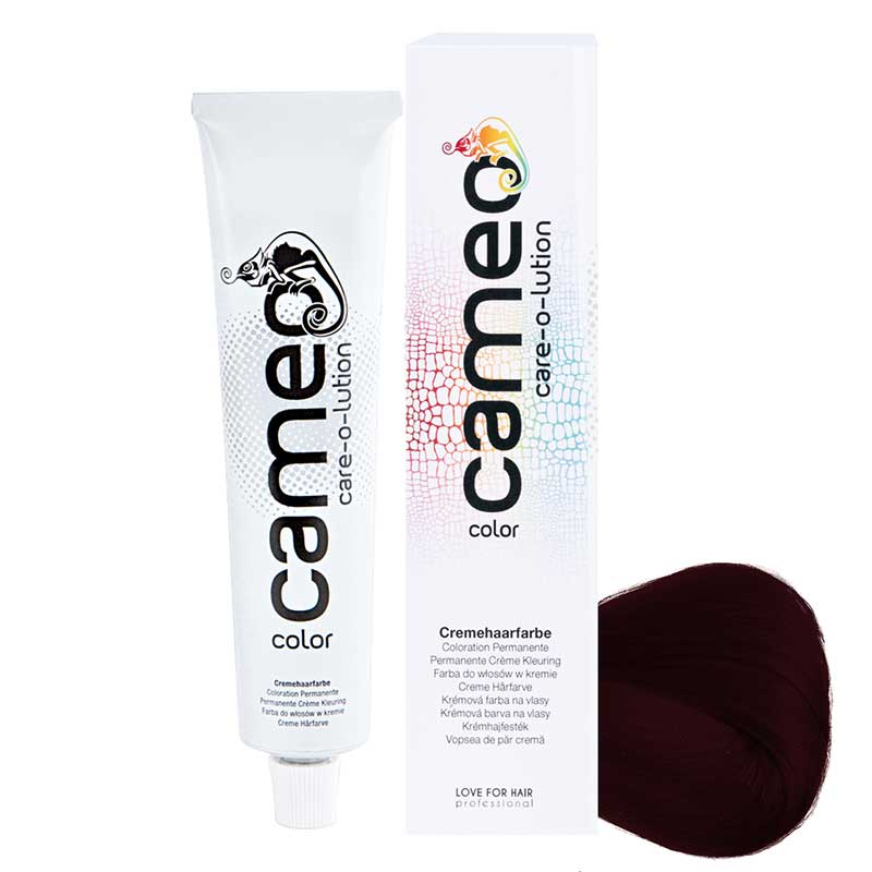 cameo color 6/6i Dunkelblond-intensiv Violett-intensiv (60 ml)