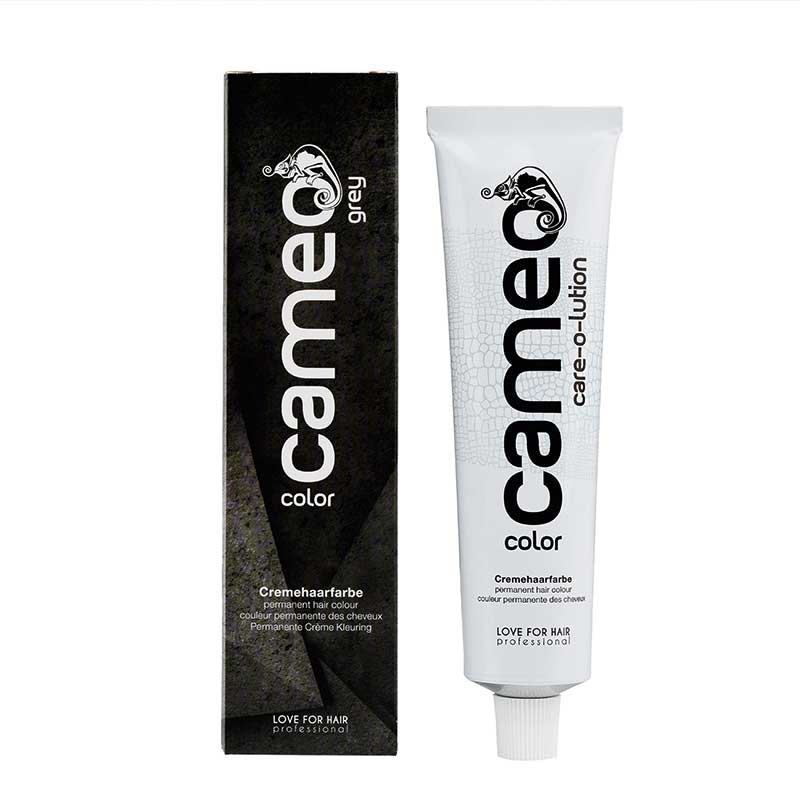 cameo color grey Silver Grey (60 ml)