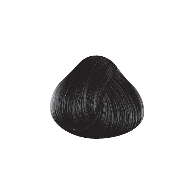 La Riché Directions Ebony (100 ml) - Image 3
